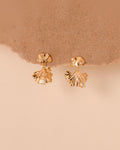 The Gingko Drops