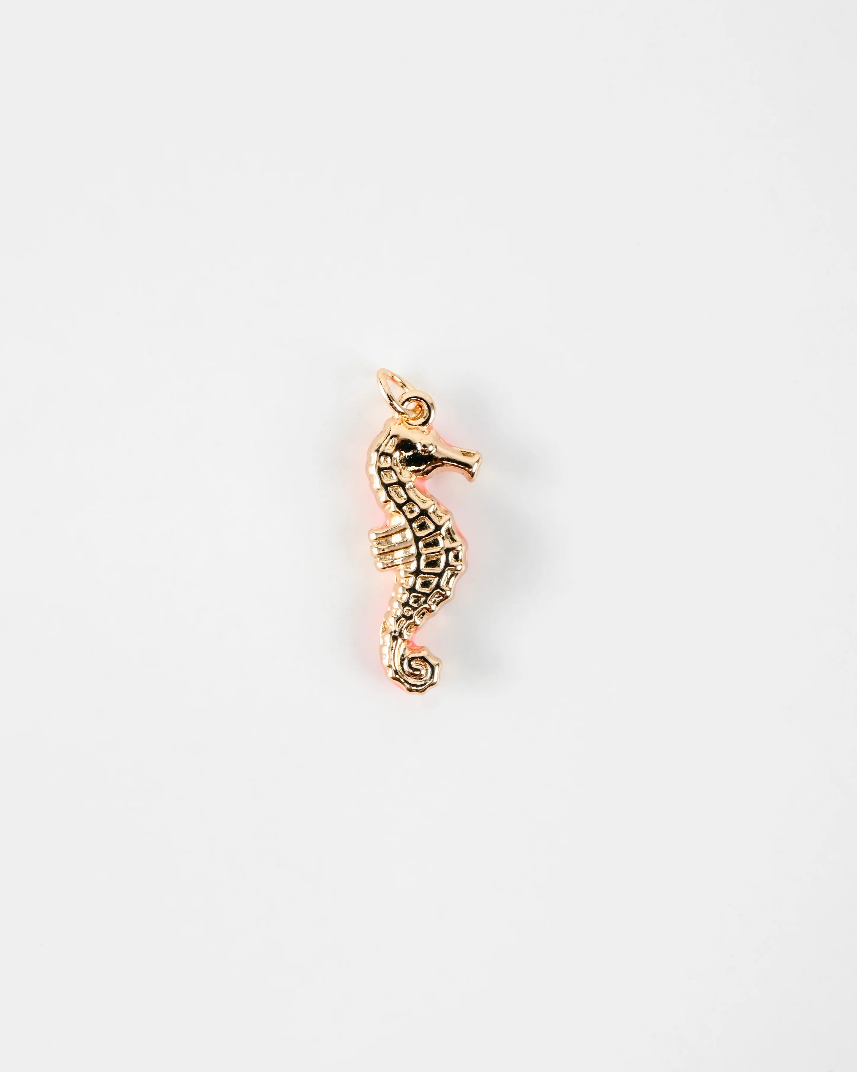Seahorse Charm